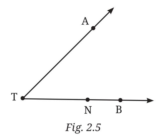 Figure it Out (Page 15 - 17) Ques 3 Chapter 2 Class 6th NCERT (Ganita Prakash)