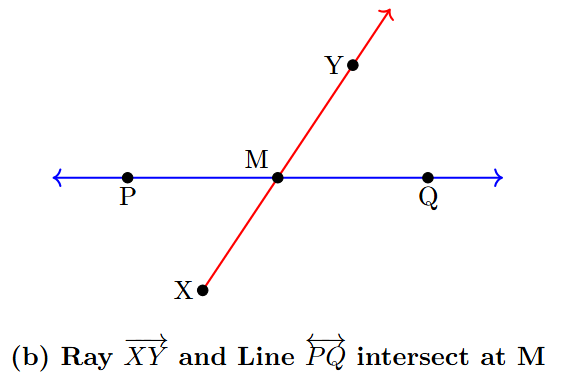 A line PQ intersecting with a ray XY at a point M.