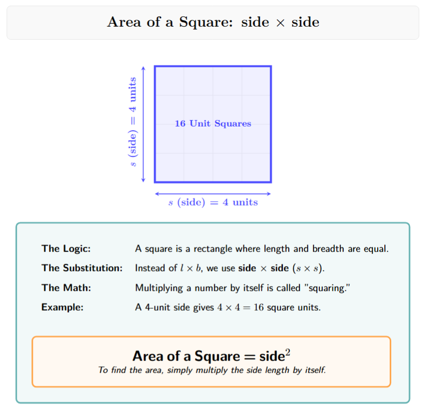 Square on a grid showing s x s squares