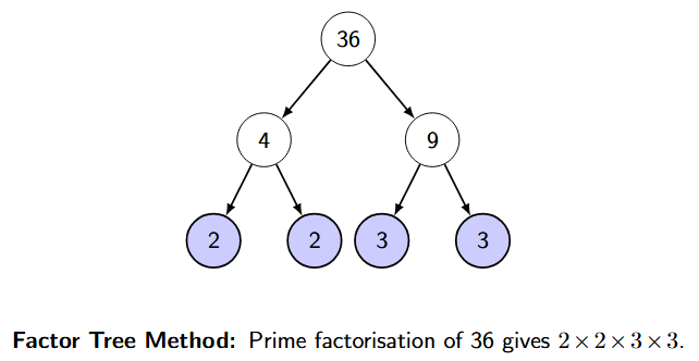 Factor tree for 36 showing branches 36 to 4 and 9, then 4 to 2 and 2, and 9 to 3 and 3