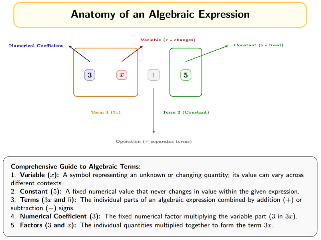 Diagram of an expression like 3x + 5 showing the variable x, coefficient 3, constant 5, and terms 3x and 5.