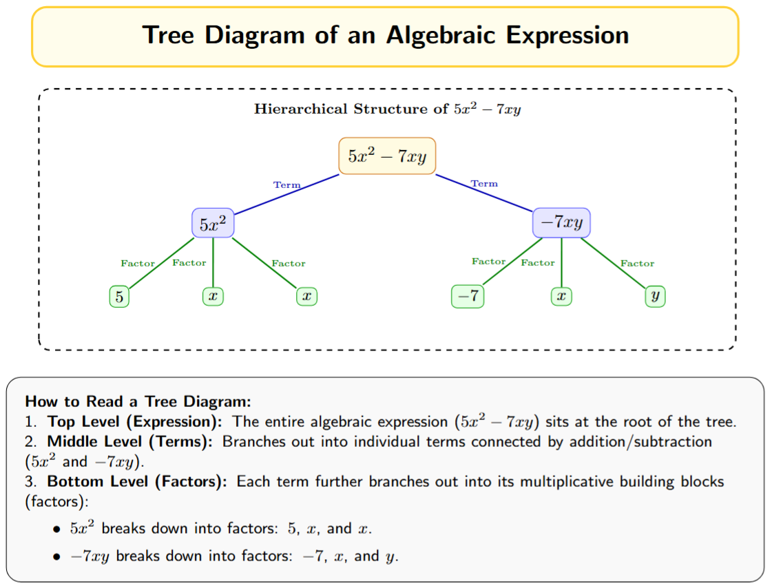 A tree diagram showing the expression 5x^2 - 7xy. It branches into two terms: 5x^2 and -7xy. The term 5x^2 further branches into factors 5, x, and x. The term -7xy branches into factors -7, x, and y.