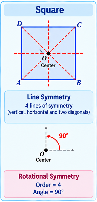 Square showing both line and rotational symmetry.