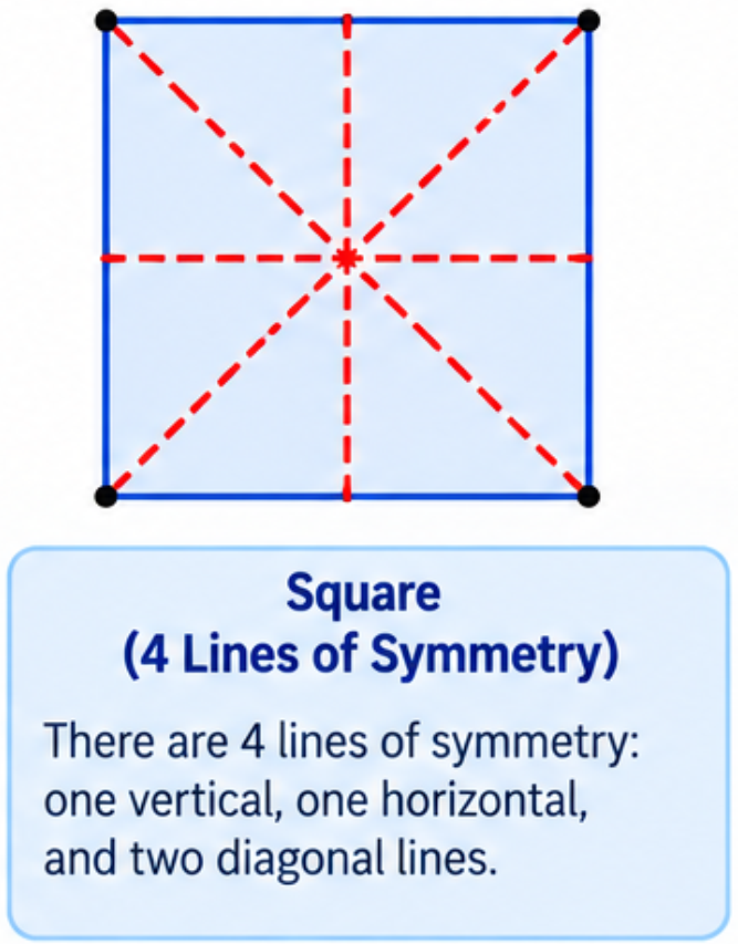 A square showing its four lines of symmetry: one horizontal, one vertical, and two diagonals.