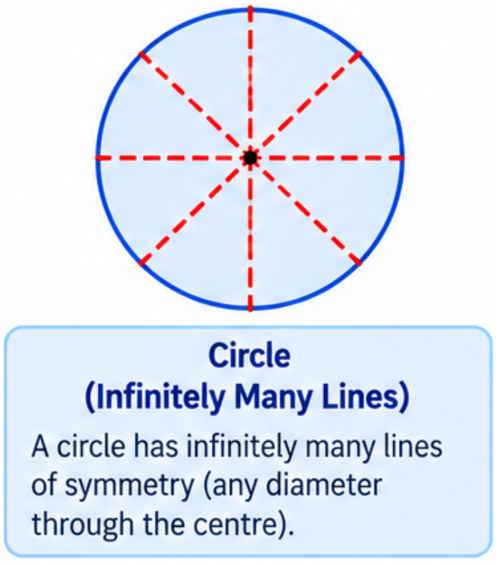 A circle showing multiple lines of symmetry passing through its center.