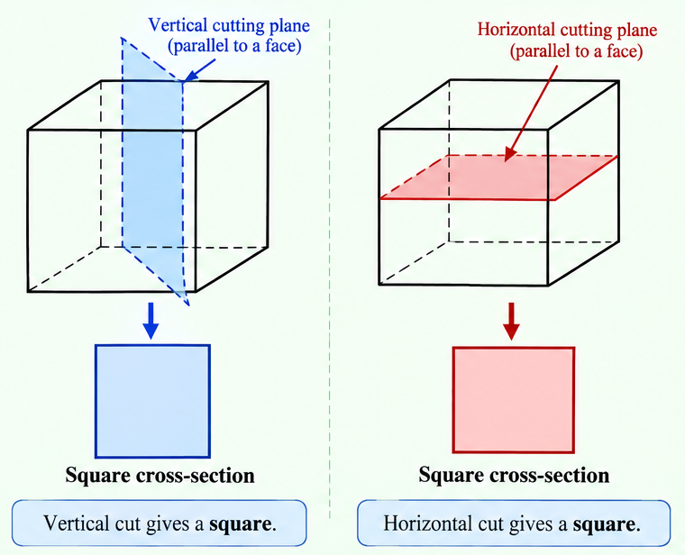 Square cross-section of a cube.