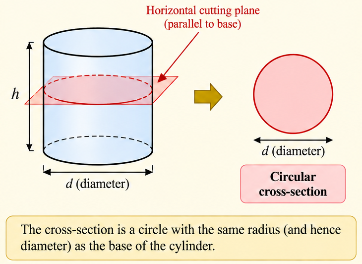 Circular cross-section of a cylinder.