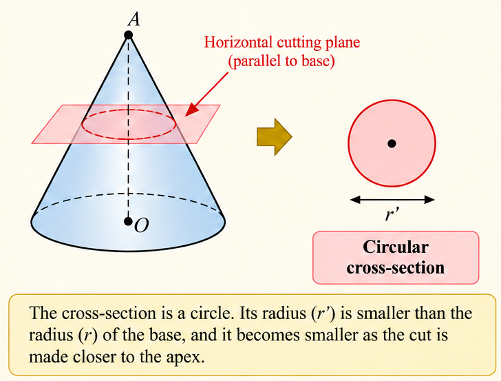Circular cross-section of a cone.