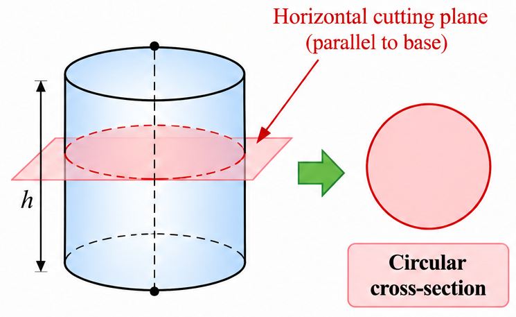 Circular cross-section of a cylinder.