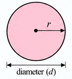 Top view of a cylinder (a circle)