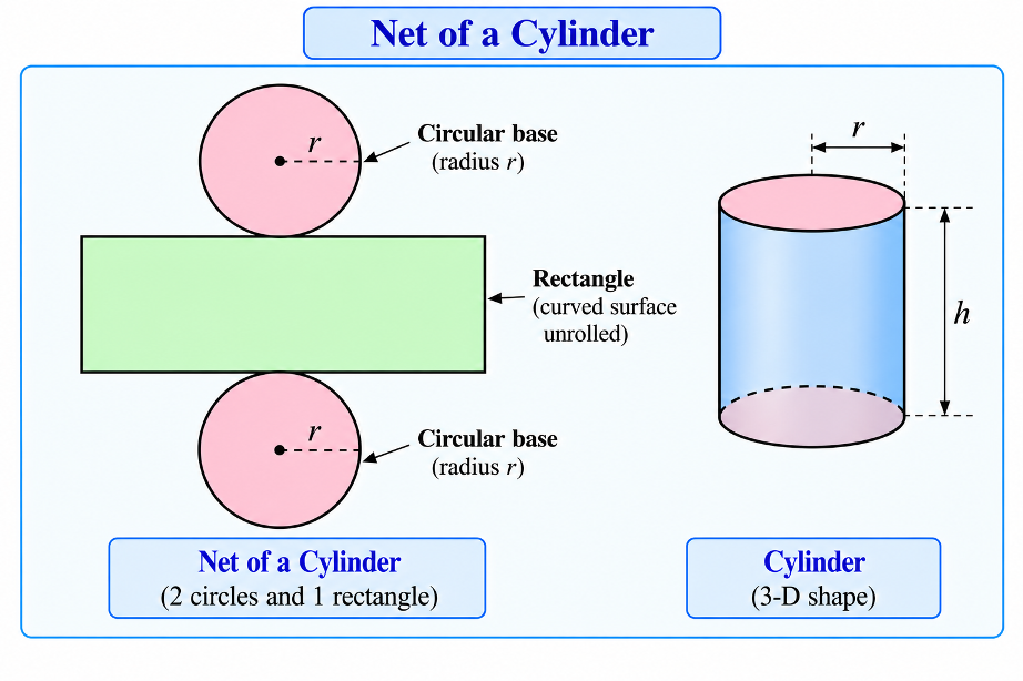 Net of a cylinder
