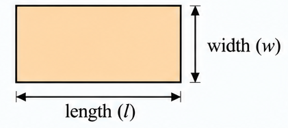 Top view of a cuboid (a rectangle)