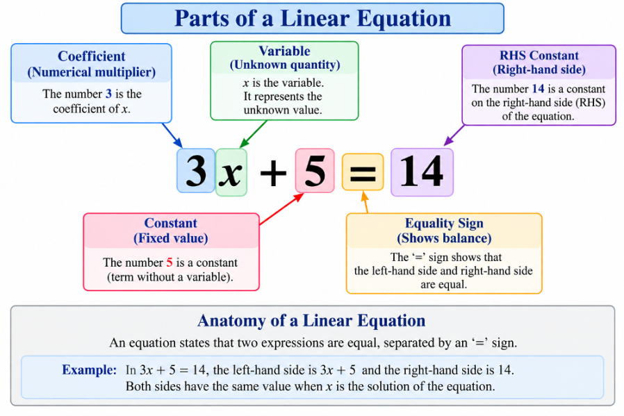 Diagram showing an equation with labels for terms, variables, coefficients, and constants.