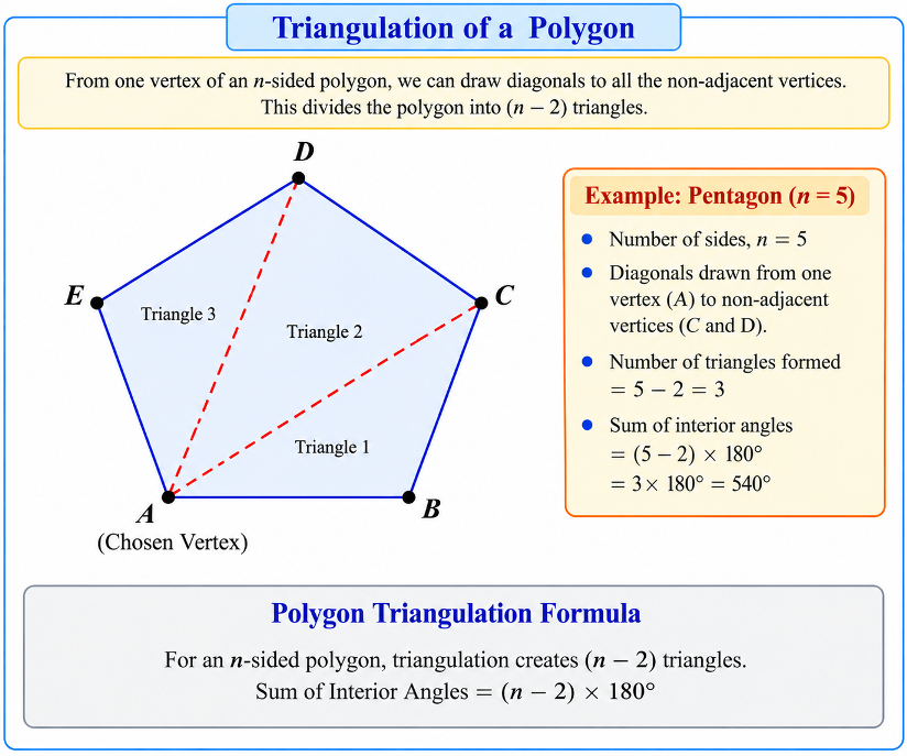 Polygon divided into triangles from one vertex