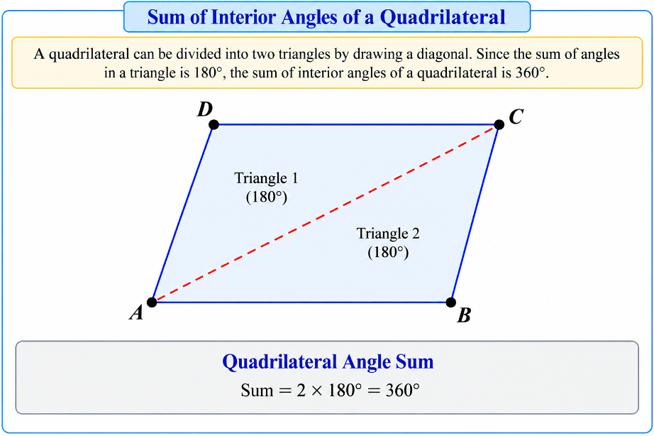 Quadrilateral divided into two triangles by a diagonal