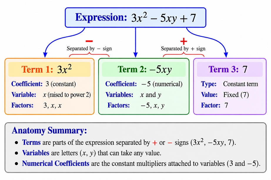 Anatomy of an Algebraic Expression
