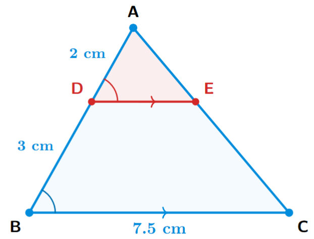 A triangle ABC with a line segment DE parallel to the base BC. D is on AB and E is on AC. The lengths are AD = 2 cm, BD = 3 cm, and BC = 7.5 cm.