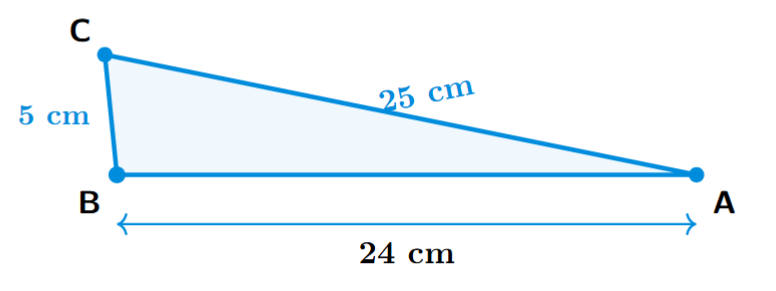 A triangle with side lengths labeled as 25 cm, 24 cm, and 5 cm.