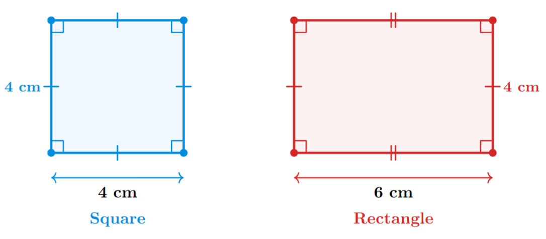 A square with all sides equal to 's' and a rectangle with sides 'a' and 'b' (where a is not equal to b). Both have all four angles equal to 90 degrees.