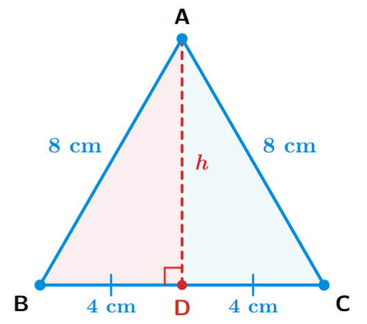 An equilateral triangle ABC with side 8 cm. An altitude AD is drawn from vertex A to the base BC, forming a right-angled triangle ADB. The base BD is 4 cm.