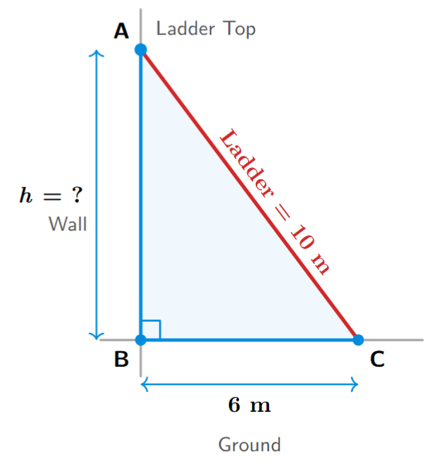A right-angled triangle formed by a ladder, a wall, and the ground. The ladder (hypotenuse) is 10 m long. The distance from the wall to the foot of the ladder (base) is 6 m. The height on the wall reached by the ladder (perpendicular) is labeled 'h'.