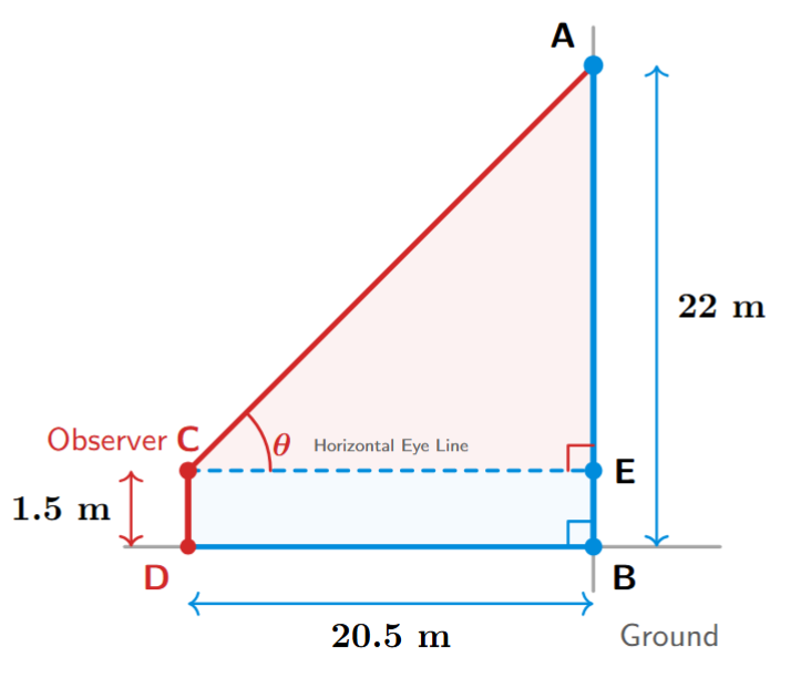 A diagram showing an observer of height 1.5m at a distance of 20.5m from a 22m tower, with a horizontal line drawn from the observer's eye to the tower creating a right-angled triangle.