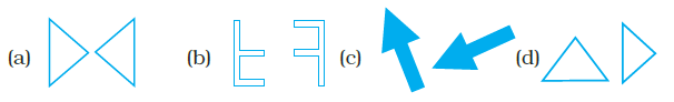 Page 368 Chapter 12 Class 7th NCERT Exemplar