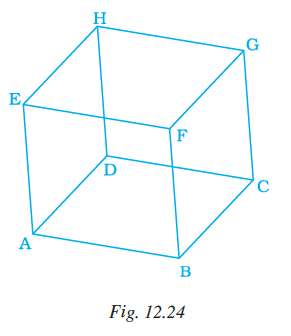Page 376 Chapter 12 Class 7th NCERT Exemplar