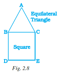 Page 52 Chapter 2 Class 7th NCERT Exemplar