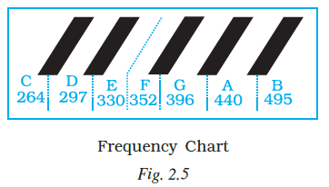 Page 36 Chapter 2 Class 7th NCERT Exemplar