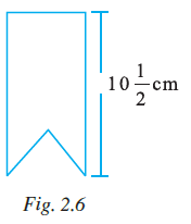 Page 45 Chapter 2 Class 7th NCERT Exemplar