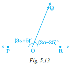 Page 130 Chapter 5 Class 7th NCERT Exemplar