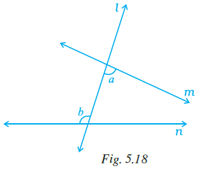 Page 131 Chapter 5 Class 7th NCERT Exemplar