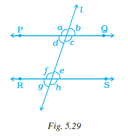 Page 135 Chapter 5 Class 7th NCERT Exemplar