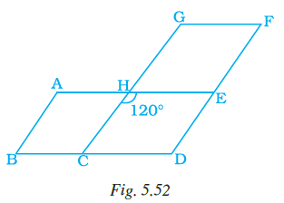 Page 146 Chapter 5 Class 7th NCERT Exemplar