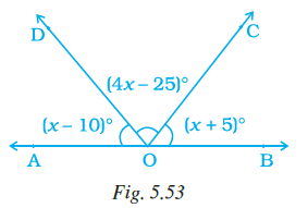 Page 146 Chapter 5 Class 7th NCERT Exemplar