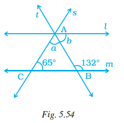 Page 146 Chapter 5 Class 7th NCERT Exemplar