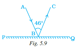 Page 128 Chapter 5 Class 7th NCERT Exemplar