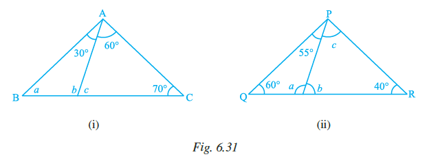 Page 172 Chapter 6 Class 7th NCERT Exemplar