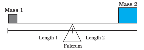 Page 210 Chapter 7 Class 7th NCERT Exemplar