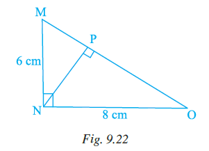 Page 272 Chapter 9 Class 7th NCERT Exemplar