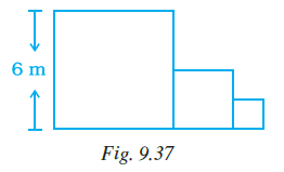 Page 282 Chapter 9 Class 7th NCERT Exemplar