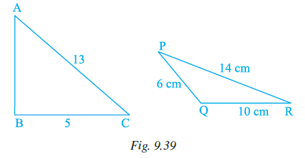 Page 283 Chapter 9 Class 7th NCERT Exemplar