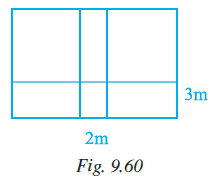 Page 293 Chapter 9 Class 7th NCERT Exemplar