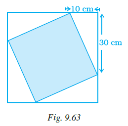Page 294 Chapter 9 Class 7th NCERT Exemplar
