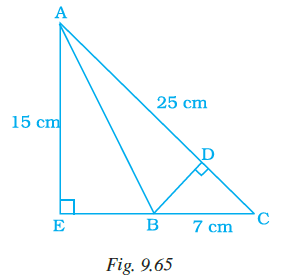 Page 295 Chapter 9 Class 7th NCERT Exemplar