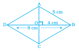 Page 339 Chapter 11 Class 8th NCERT Exemplar