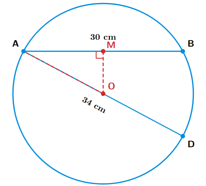 A circle with center O and diameter AD. AB is a chord. OM is the perpendicular drawn from O to AB. OA is the radius.