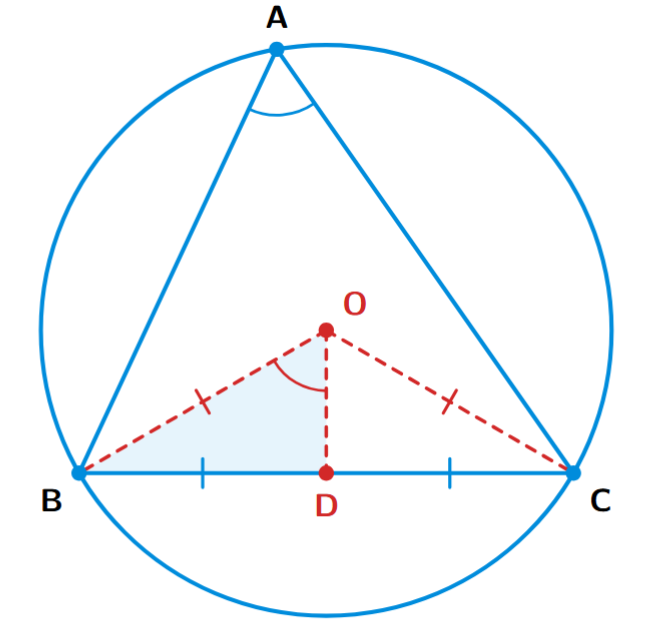 A triangle ABC with its circumcentre O. D is the midpoint of BC. Lines OB, OC, and OD are drawn.