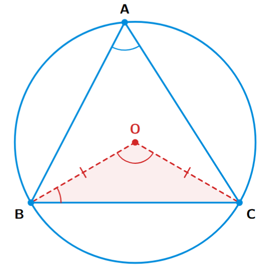 A triangle ABC with its circumcentre O. The circumcircle passes through A, B, and C. Lines OB and OC are joined.